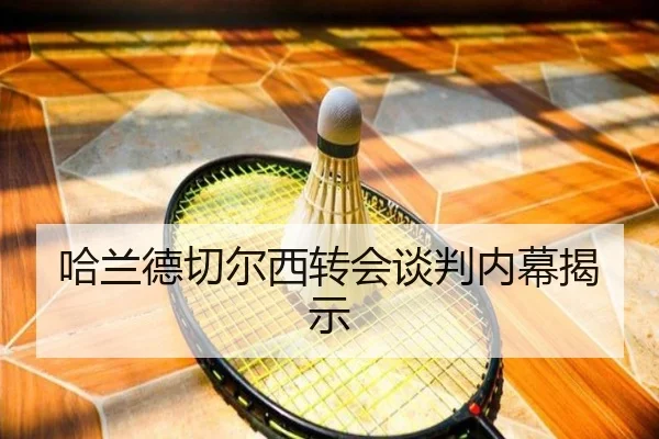 哈兰德切尔西转会谈判内幕揭示